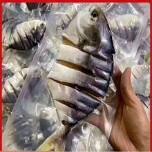 �������~������K�~���~�ɺ��r��؛���}�~տ���خa�L�ɏV�|