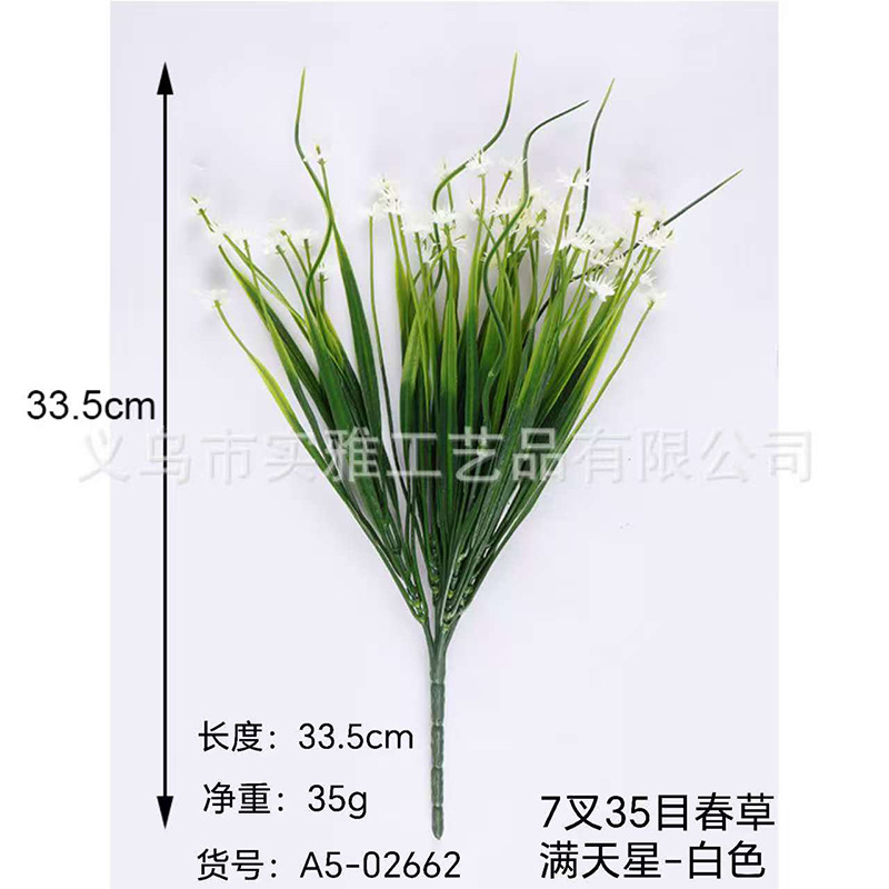 Estrellas blancas de 7 brancas 35 mesh Springgrass