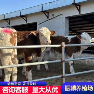 ���T������ţ���Bֳ�����SţСţ���� ��ľٝ�Nţһ�^Сţ�̃r��