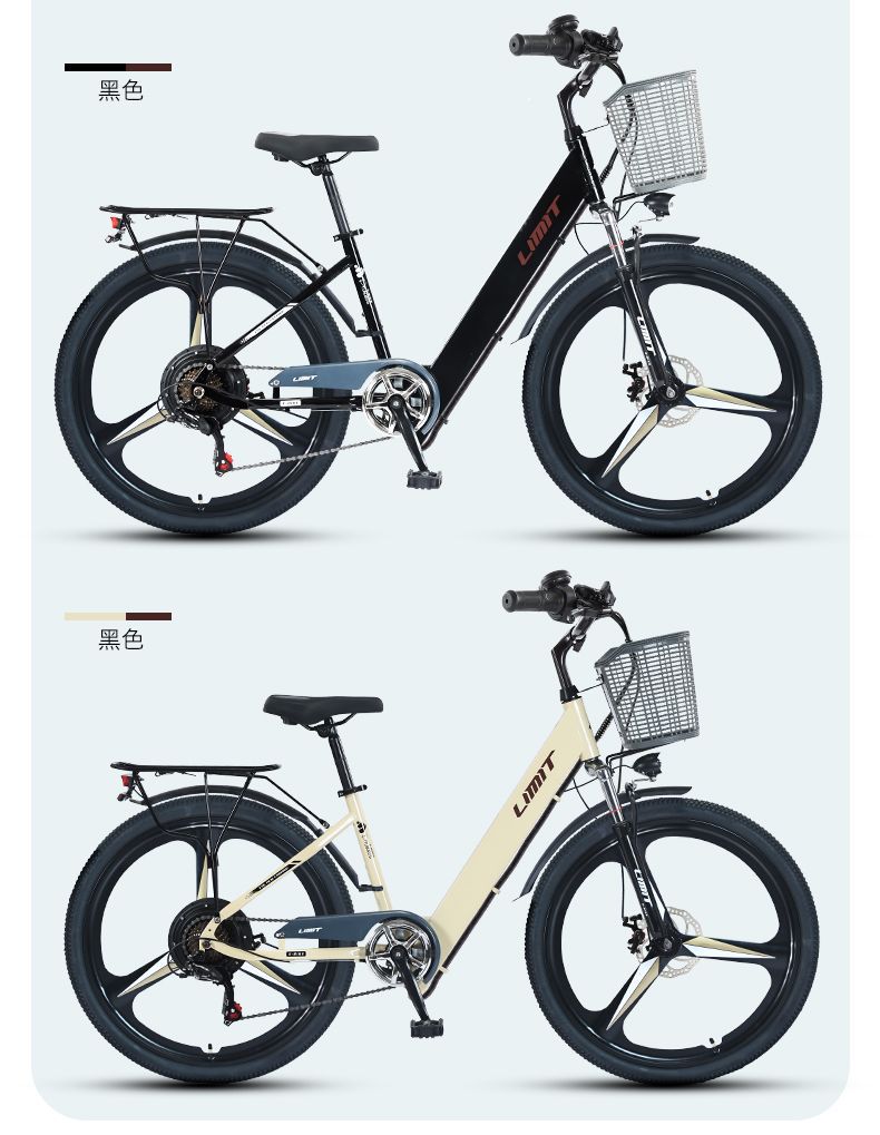 Electric Bicycle New National Standard Built-in Battery Lightweight