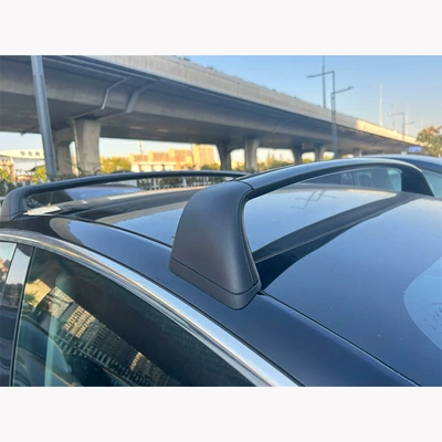 Tesla Car Luggage Rack Roof: Roof rack