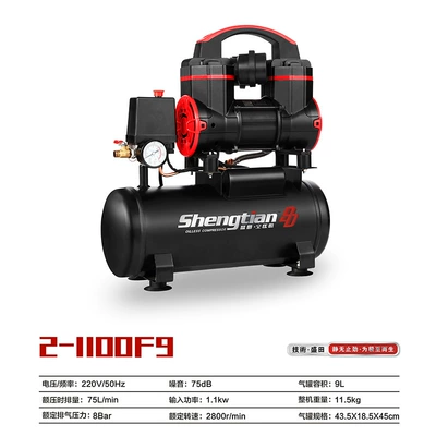 Silent Oil-Free Mini Air Hava kompressorları - 2-1100f9-220v-single-phase-8bar