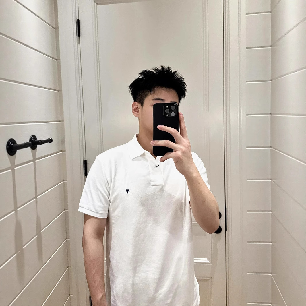 Pony logo cross-border high quality short sleeve T-shirt men's foreign trade T-shirt cotton lapel classic polo shirt embroidery