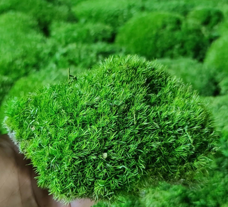 微信截图_20230718170649