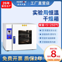 康恒数显电热恒温干燥箱KH-35A 药品烘箱 鼓风干燥箱