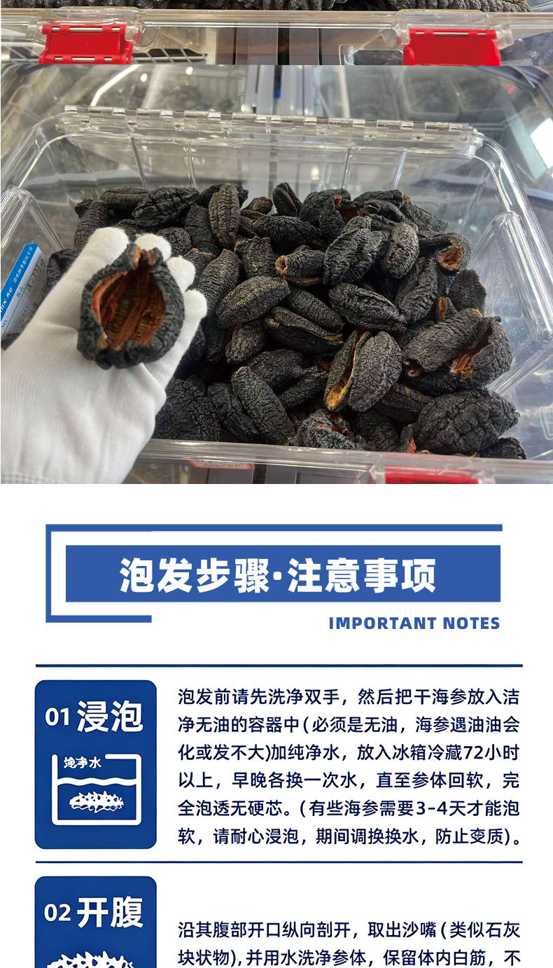 Pure Lightly Dried Liaoning Sea Cucumber 6-7 Year Grade A 50g Gift Box in use