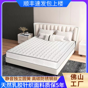 ϯ��˼���z���|һ���������üӺ��|��20cm�Ƶ���Ï��ɴ��|Ӳ�|