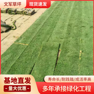 Lawn Manufacturer Cutting Green Turf Base, Pruning-Free Courtyard Villa, Easy to Live and Durable Lawn Wholesale