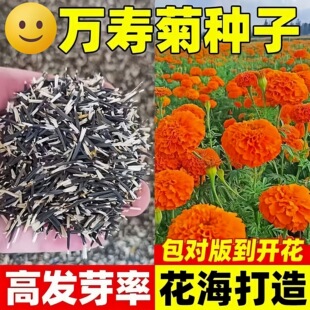 �f�۾շN���ļ��_���׻��ȸ�ݻ��N�ӳ�ܽ�ػ��N�����ذ��f�۾���