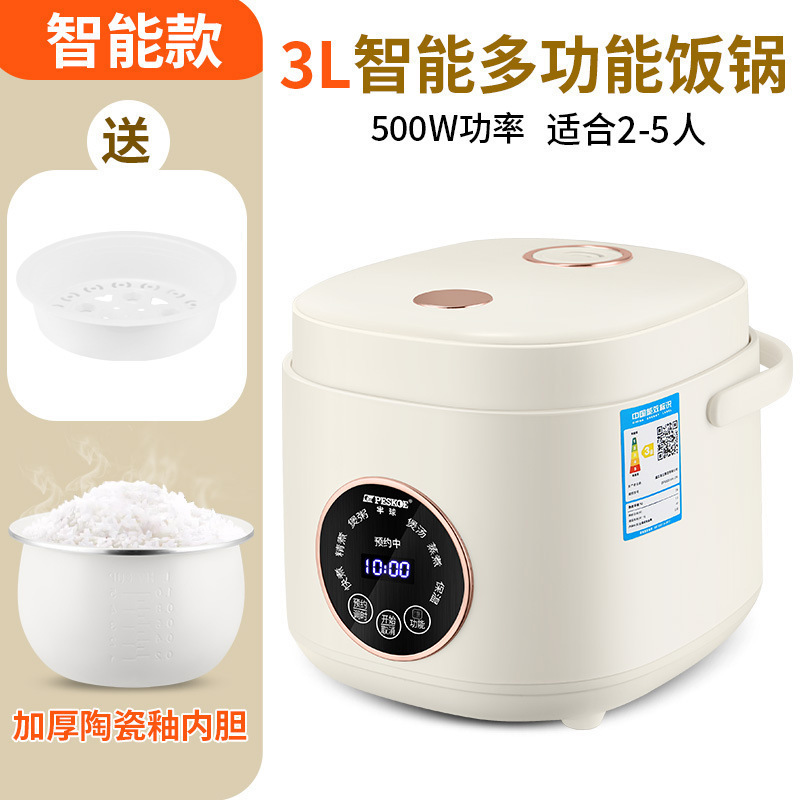3.0L-스마트 컴퓨터 모델