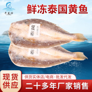 �r��̩���S�~  ���r���r���ˮ�a���l  ���|M�����S�~����