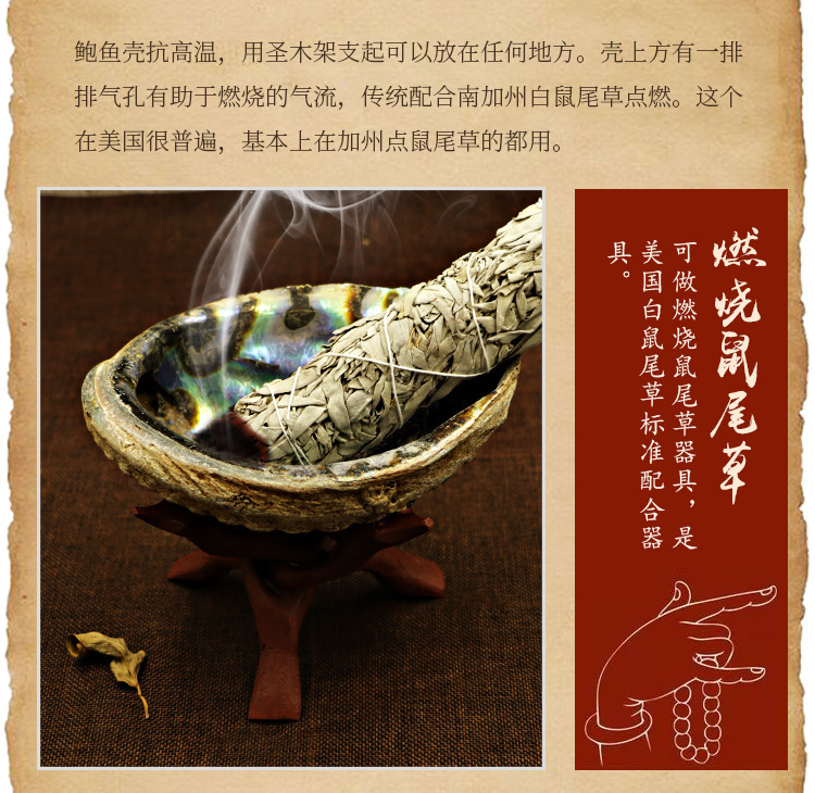 现货 Wicca白鼠尾草烟熏配件贝壳+圣木支架 祭坛仪式用品 图 6