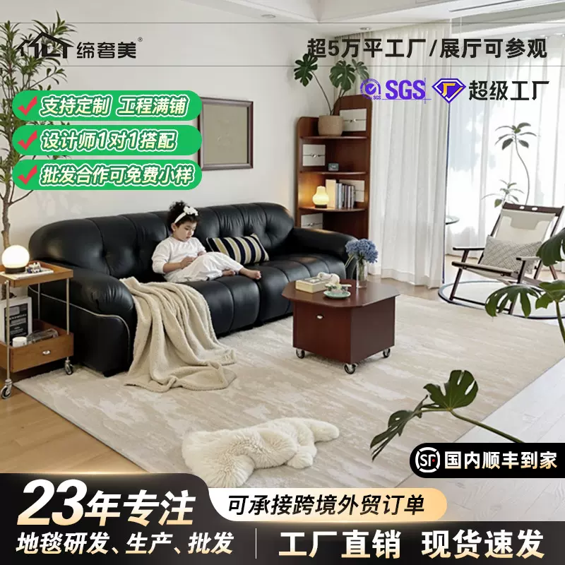 地毯客厅2025新款现代简约免洗可擦卧室地毯高级感防水隔音地毯