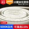 Self-adhesive 2835-120 beads 10 cm cutter [White light]