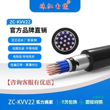 �V�|�齭��|ZC-KVV22��о��|��45о1.5-10ƽ�����˼��~������|
