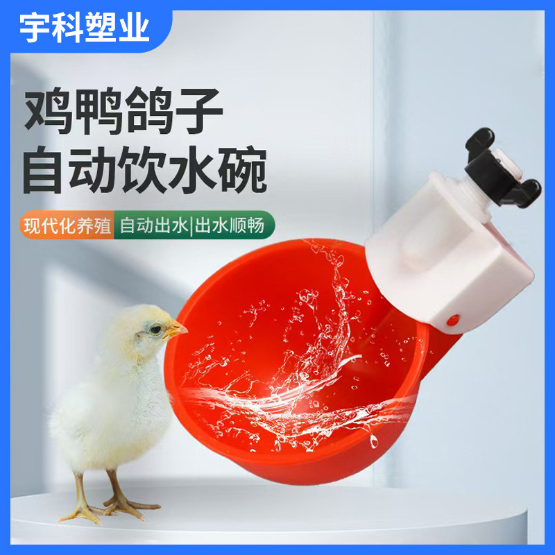 家禽自动小鸡饮水器全自动饮水碗鸭鹅鸽子喂水养殖设备家禽饮水槽