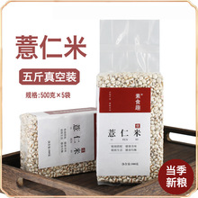 �����F��޲����޲�����������С���t����޲�ײ�����s�Z����5��l