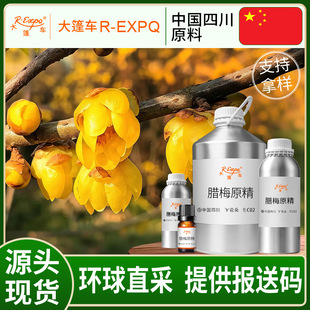 �D÷ԭ�� Chimonanthus Praecox ���ͷ����o��ԭ�����l����܇����