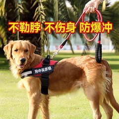 胸ストラップ犬牽引ロープベスト式中犬辺牧金毛法斗沖首輪犬チェーン