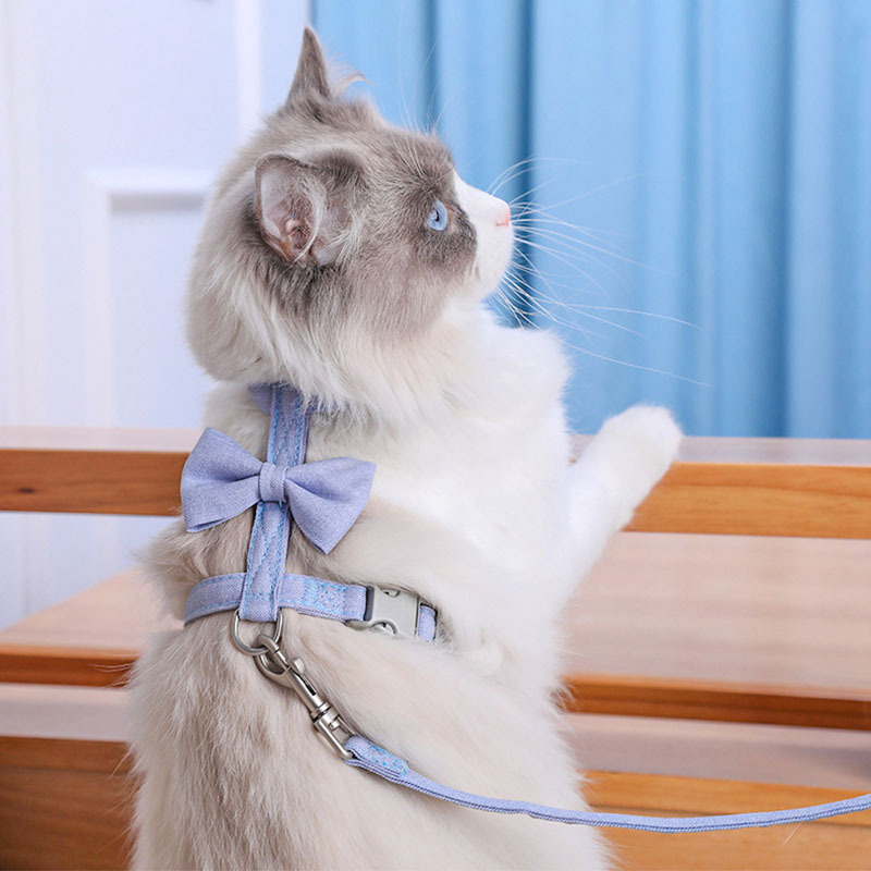 跨境现货猫咪牵引绳素色蝴蝶结工字型猫牵引防挣脱遛猫宠物牵引绳