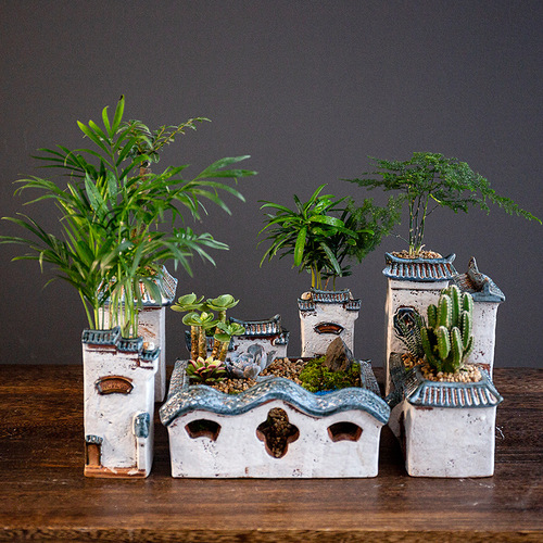 Asparagus Zen house home decoration ornaments bonsai small old pile succulent flowerpot ceramic landscaping dry flower vase