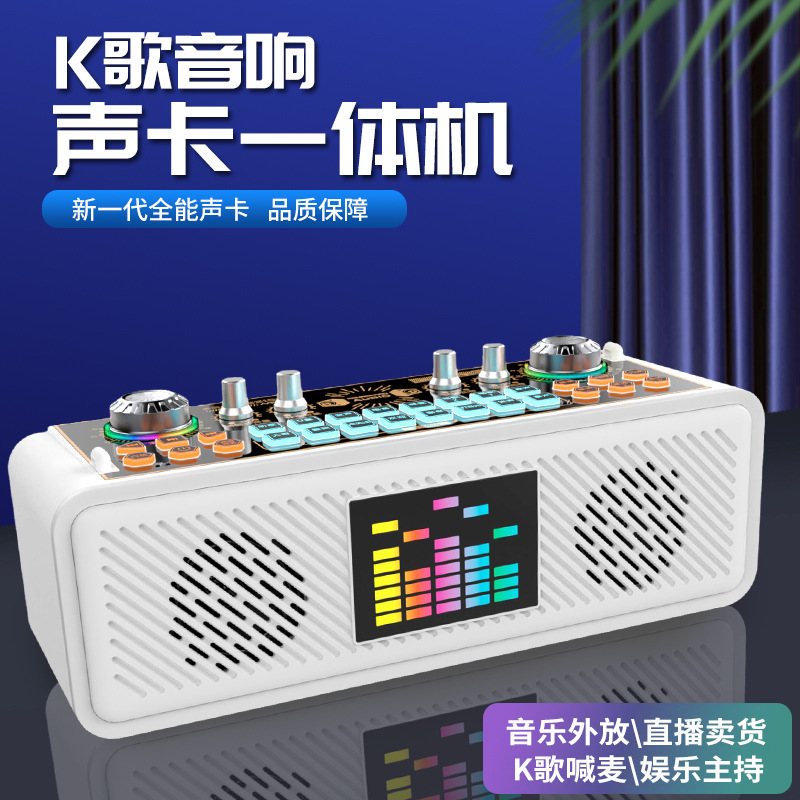 X 10無線生放送の歌の音カードの音響の一体機の室内の屋外の携帯式のk歌は麦を叫んで生放送して外に放します。|undefined