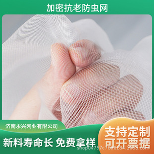 �S�����l40Ŀ 60Ŀ 80Ŀ100Ŀ���x�W �߲˴��� ������@ ���x�W��