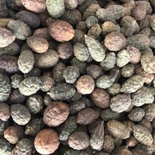 ���l���� ����� ��ɽ�� ���N ���� ���� ������