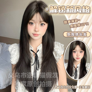 Logic cat cross-border wholesale wig women's long straight hair air bangs wig net red natural full head cover wig