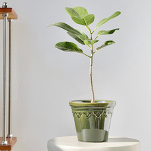 ���W���s������_�R�ﺣ�Č��Gɫ���₀�ԸG׃�����m�m���Gֲ����