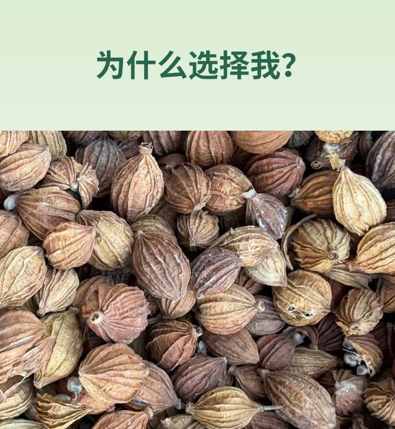Dried Xiang Sha Spice Amomum Fruit 500g Premium Grade for Herbal Soups and Culinary Use key features