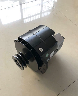 Petra 8SC3110VC generator — Generatorlar hissələri (Dinamo və detalları)