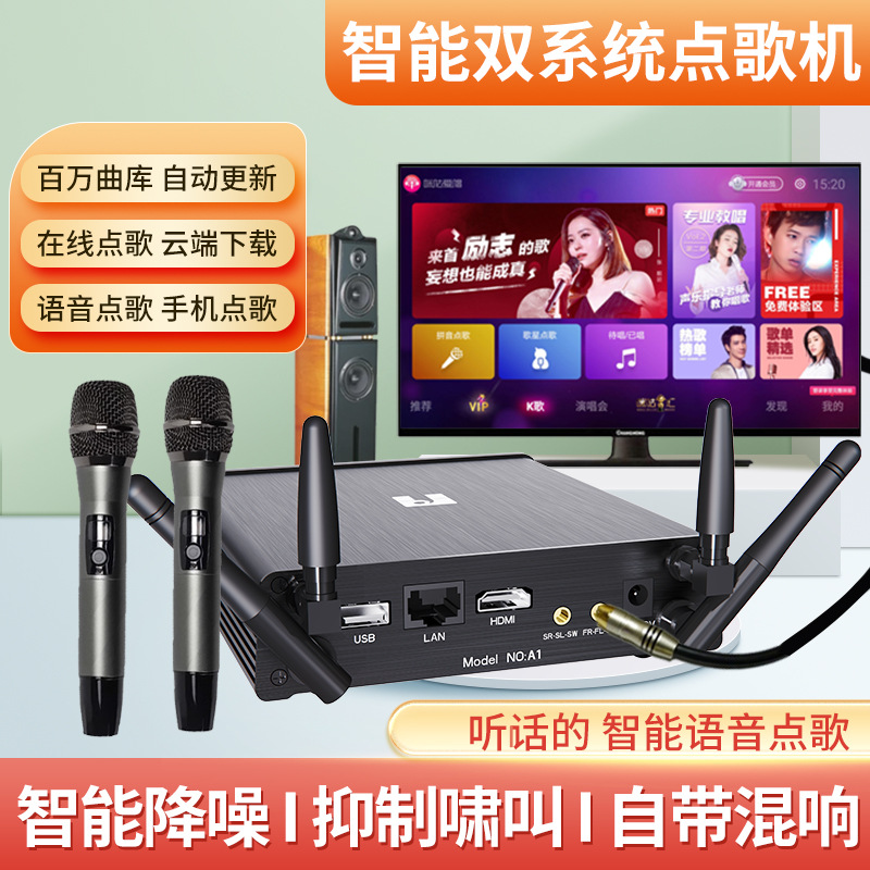Free Shipping Ktv Player Karaoke Machine Home Karaoke Singing Microphone Singing Audio Amplifier Connected to Electricity