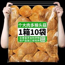 ��Ϻ��^�����r��؛������؛�o�����ں��^��ʳ�þ�Ģ���Ҝ�ʳ��