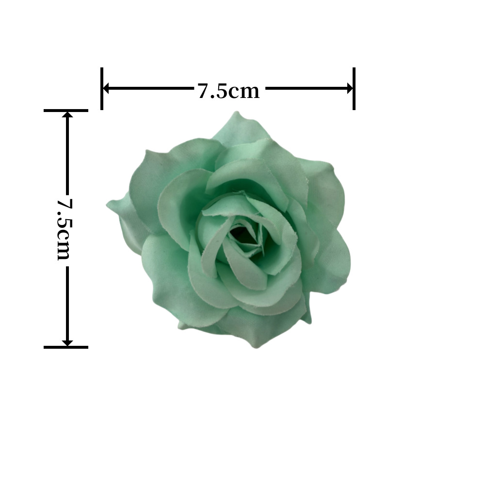 微信图片_202503111000203_副本