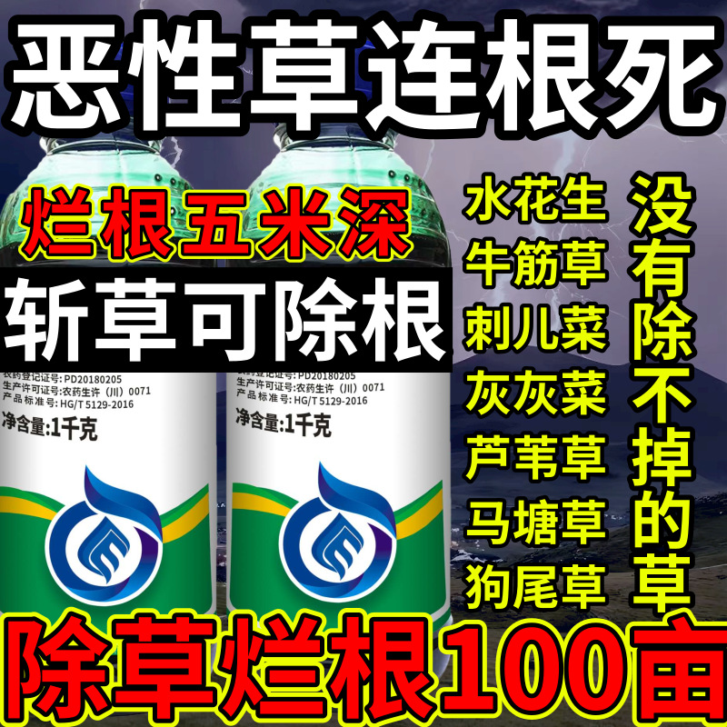 恶性草连根死高浓度精草铵膦铵盐水花生斩草除根杂草烂根除草剂
