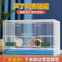 芦丁鸡专用笼家用室内雏鸡笼小鸡笼鹌鹑笼加密小黄鸭笼柯尔鸭笼