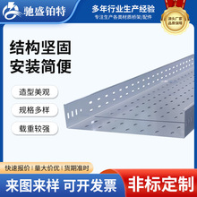 托盘式桥架工程电缆走线槽欧式多孔热浸锌散热桥架镀锌托盘桥架厂