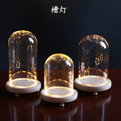 Eternal flower transparent glass cover base with light, hand-made soft clay doll dust-proof cover, LED copper wire light string light