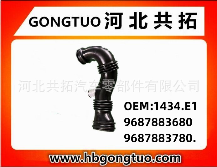 Supply Japanese Korean automotive air filter intake hose 1434.E1 9687883680 9687883780