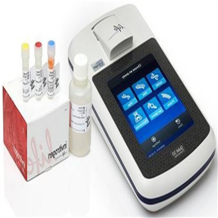 美国热电 核酸蛋白荧光定量仪 Qubit 4