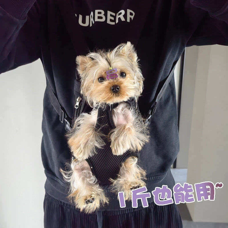 Йоркширский собачий рюкзак для собак выходит на улицу с переносной собакой