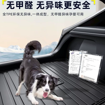 Trunk Mat: for Volkswagen Lavida, Sagitar