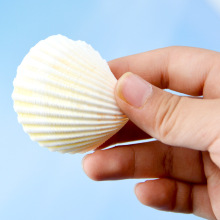 ��Ȼ����ؐ�� ����ɫؐ�� �~�׃Ⱦ��[�� �{��ؐ��ˇƷԭ�����l