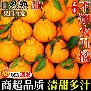 �������r�����Fժ���rˮ���Ĵ����ٳ�˹ָ������۽�����