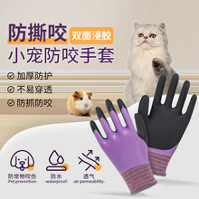 小宠物洗澡手套狗狗猫咪洗澡专用仓鼠鹦鹉兔子喂养防抓防咬伤万桃