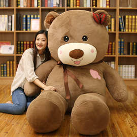 抱抱熊公仔泰迪熊熊猫娃娃抱枕可爱毛绒玩具大熊狗熊批发新款代发