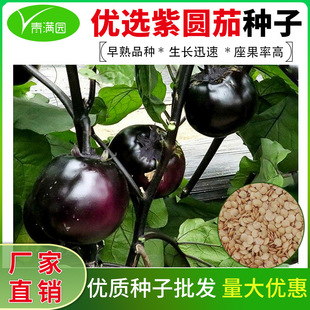 �����ѷN���ψA���ӷN���ļ��͟�ͥԺ�̨�������ӷN�Ӵ�ȫ