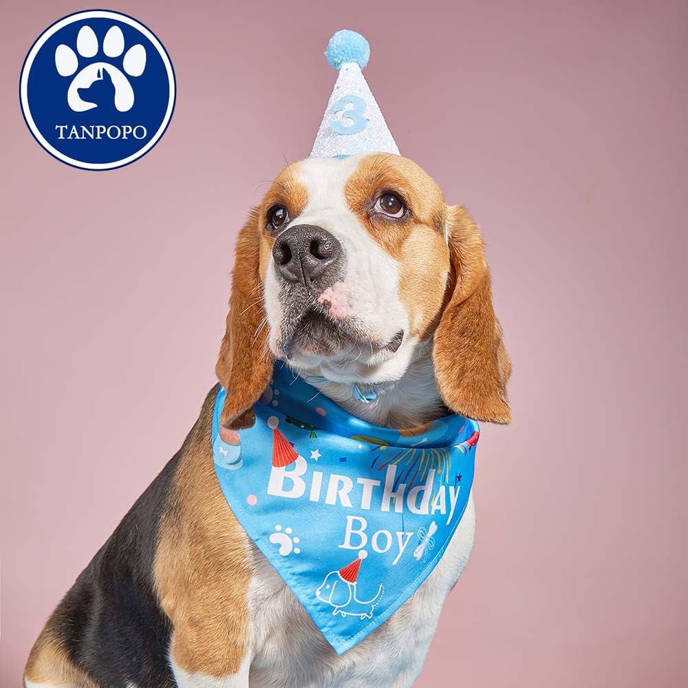 Tanpopo nuevo perro cumpleaños bufanda sombrero digital mascota sombrero mascota saliva toalla triángulo toalla