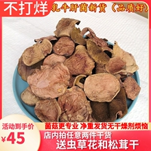 野生牛肝菌 口感非常滑嫩的红乳牛肝菌云南特产野生菌100克装包邮